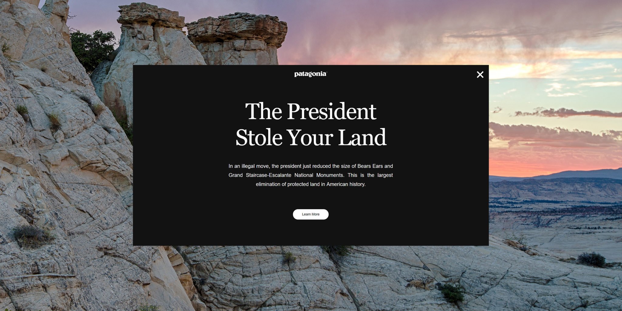 Screenshot: The President Stole Your Land - Patagonia Campaign