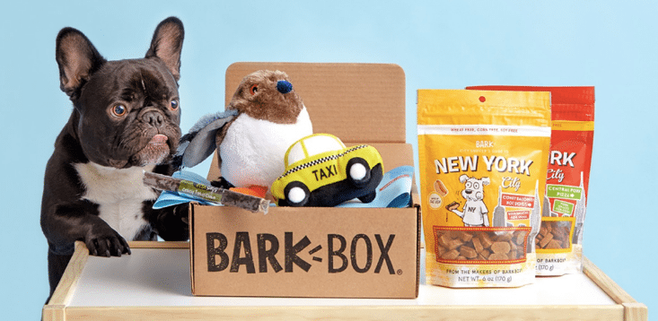 Bark Box Promo Photoshoot
